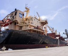 Os portos de Paranaguá e Antonina movimentaram 3,44 milhões de toneladas de carga nos primeiros 31 dias do ano. Janeiro foi um mês de alta nos volumes de carga geral e granéis líquidos, tanto importação quanto exportação. Os terminais paranaenses apostam na multimodalidade e tiveram destaque no embarque de açúcar em saca, contêineres, óleo vegetal e derivados de petróleo.  -  Paranaguá, 20/02/2020  -  Foto: Claudio Neves/Portos do Paraná