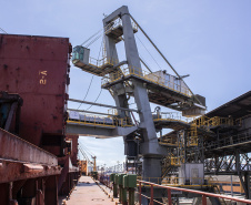 Os portos de Paranaguá e Antonina movimentaram 3,44 milhões de toneladas de carga nos primeiros 31 dias do ano. Janeiro foi um mês de alta nos volumes de carga geral e granéis líquidos, tanto importação quanto exportação. Os terminais paranaenses apostam na multimodalidade e tiveram destaque no embarque de açúcar em saca, contêineres, óleo vegetal e derivados de petróleo.  -  Paranaguá, 20/02/2020  -  Foto: Claudio Neves/Portos do Paraná