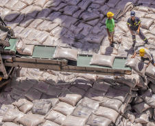Os portos de Paranaguá e Antonina movimentaram 3,44 milhões de toneladas de carga nos primeiros 31 dias do ano. Janeiro foi um mês de alta nos volumes de carga geral e granéis líquidos, tanto importação quanto exportação. Os terminais paranaenses apostam na multimodalidade e tiveram destaque no embarque de açúcar em saca, contêineres, óleo vegetal e derivados de petróleo.  -  Paranaguá, 20/02/2020  -  Foto: Claudio Neves/Portos do Paraná