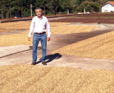 Os cafés finalistas foram avaliados por um júri técnico composto por provadores e especialistas, responsáveis por 90% da nota final, enquanto o critério de Sustentabilidade corresponde aos 10% restantes. Foto: SEAB