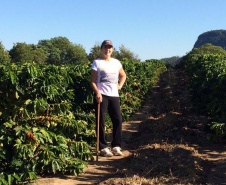 Os cafés finalistas foram avaliados por um júri técnico composto por provadores e especialistas, responsáveis por 90% da nota final, enquanto o critério de Sustentabilidade corresponde aos 10% restantes. Foto: SEAB