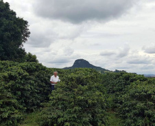 Os cafés finalistas foram avaliados por um júri técnico composto por provadores e especialistas, responsáveis por 90% da nota final, enquanto o critério de Sustentabilidade corresponde aos 10% restantes. Foto: SEAB