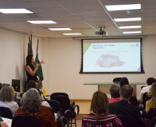 Foi a primeira reunião do Comitê, e o objetivo foi discutir e propor iniciativas para enfrentamento das situações que levam à morte materno-infantil e fetal. Foto: Antonio Americo/SESA