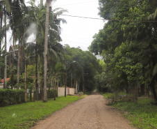 Morretes - Morretes, 17-01-20.Foto: Arnaldo Alves / AEN.