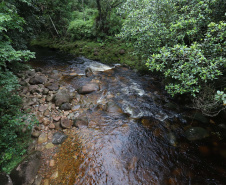 Morretes - Rio Iporanga.Morretes, 17-01-20.Foto: Arnaldo Alves / AEN.