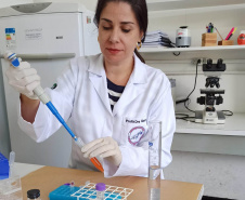 Um estudo feito por pesquisadores da Universidade Estadual de Londrina (UEL) mostrou que o Bisfenol A (BPA) pode ser o responsável pelo crescente número de indivíduos do sexo masculino, em idade reprodutiva, com problemas de infertilidade.Foto: UEL