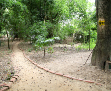 Ilhas, trilhas e praias cristalinas formam as belezas do Rio Paraná.Guaíra - Foto: Ari Dias/AEN