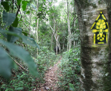 Ilhas, trilhas e praias cristalinas formam as belezas do Rio Paraná.Guaíra - Foto: Ari Dias/AEN