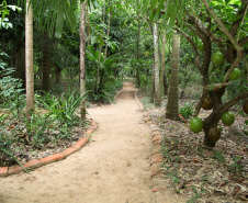 Ilhas, trilhas e praias cristalinas formam as belezas do Rio Paraná.Guaíra - Foto: Ari Dias/AEN