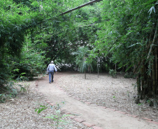 Ilhas, trilhas e praias cristalinas formam as belezas do Rio Paraná.Guaíra - Foto: Ari Dias/AEN