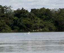 Ilhas, trilhas e praias cristalinas formam as belezas do Rio Paraná.Icaraíma - Foto: Ari Dias/AEN