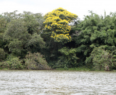 O Rio Paraná vai ganhar a Rota dos Pioneiros. O rio que dá nome ao Estado sempre foi uma importante rota de navegação. Ao longo dos séculos, indígenas, espanhóis, jesuítas, bandeirantes e migrantes de diferentes nacionalidades atravessaram as águas do Rio Paraná para encontrar em suas margens terras férteis para viver, explorar e conquistar.Foto: Ari Dias/AEN