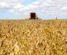 VBP agropecuário do Paraná de 2019 pode atingir R$ 93 bilhões. Foto: Jaelson Lucas/AEN