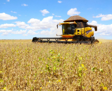 VBP agropecuário do Paraná de 2019 pode atingir R$ 93 bilhões. Fotos:Jaelson Lucas / AEN