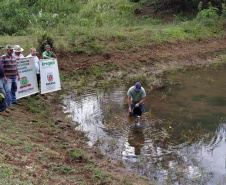  A Secretaria Municipal de Agricultura, Turismo e Meio Ambiente, com o apoio do Instituto de Desenvolvimento Rural do Paraná – Iapar-Emater e outros parceiros, está capturando alevinos de lambari no Lago do Parque Verde Vida e soltando em locais de proliferação do mosquito identificados pela Secretaria Municipal da Saúde. Os alevinos se alimentam das larvas, evitando que elas cheguem à fase adulta.Foto:Leandro Mello/Prefeitura de Barbosa Ferraz