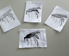 Escolas do Paraná realizam ações de combate à dengue. Foto:SEED