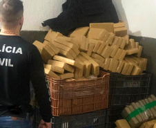 Polícia Civil registra aumento de 14% na apreensão de drogas. Foto: Polícia Civil