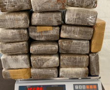 Polícia Civil registra aumento de 14% na apreensão de drogas