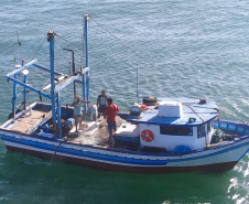 A Polícia Civil do Paraná (PCPR) realiza uma operação para fiscalizar a pesca irregular no Litoral do Paraná, em conjunto com o Instituto Brasileiro do Meio Ambiente e dos Recursos Naturais Renováveis (Ibama) e a Polícia Federal (PF). Nesta terça-feira (10), 37 toneladas de pescados foram apreendidas em Guaratuba e duas empresas interditadas. As ações continuam por tempo indeterminado. Foto: Polícia Civi