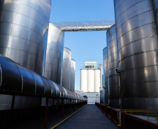 O Grupo Heineken confirmou novos investimentos no Paraná. Em cerimônia com o governador Carlos Massa Ratinho Junior, nesta quarta-feira (11), na unidade da indústria, em Ponta Grossa, a cervejaria anunciou que vai destinar R$ 865 milhões até 2021 para a ampliação da produção da planta, concentrada em rótulos como Heineken e Amstel. Serão 600 novos empregos entre diretos e indiretos.