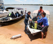 A paisagem do rio Paraná é cinematográfica. Os quilômetros que separam uma margem da outra são uma imensidão de tons de verde, mesclando na água as cores das árvores que povoam as centenas de ilhas locais. De perto, o verde da água se torna transparente, cristalino, despertando a curiosidade para as profundezas do segundo maior rio da América do Sul. Foto: Ari Dias/AEN