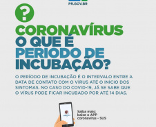 A informação de qualidade é ainda uma das melhores armas para se prevenir contra o coronavírus. Pensando nisso, o Governo do Paraná lançou uma campanha com orientações sobre os métodos de prevenção, para evitar a propagação do vírus e também para tranquilizar a população. Todo o conteúdo está disponível no site www.coronavirus.pr.gov.br.