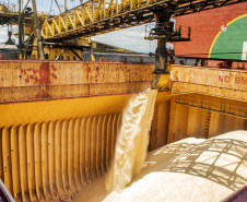 O Porto de Paranaguá chega aos 85 anos, comemorados nesta terça-feira, 17 de março, como o mais eficiente do Brasil. É líder na exportação de óleo vegetal e frango congelado, tem a maior capacidade de movimentação de contêineres do país, ocupa o primeiro lugar em importação de fertilizantes. 