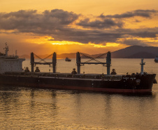 O Porto de Paranaguá chega aos 85 anos, comemorados nesta terça-feira, 17 de março, como o mais eficiente do Brasil. É líder na exportação de óleo vegetal e frango congelado, tem a maior capacidade de movimentação de contêineres do país, ocupa o primeiro lugar em importação de fertilizantes. 