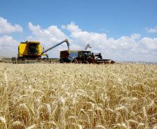 Estudo com metodologia pioneira feito pelo Ipardes, órgão vinculado à Secretaria de Estado do Planejamento e Projetos Estruturantes, leva em conta os insumos, a agroindústria, os serviços e a agropecuária propriamente dita.