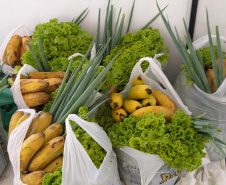 As mudanças de atitude da sociedade provocadas pelo novo coronavírus não paralisaram as atividades de associações de produtores rurais, responsáveis pela alimentação, sobretudo de famílias mais carentes. O comprometimento também mantém em atividade centenas de servidores estaduais que ajudam na tarefa de forma presencial ou em teletrabalho. Foto:SEAB