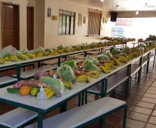 A determinação do Governo do Estado de que, mesmo com a situação criada pela pandemia do coronavírus, não apenas está mantida a compra de alimentos da agricultura familiar, como o volume será ampliado com aporte extra de R$ 20 milhões, animou as associações e cooperativas de produtores, que veem nisso a possibilidade de manutenção dos planos para seus negócios. Foto:SEED