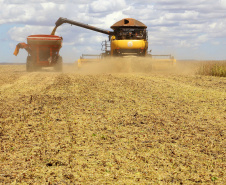Paraná deverá produzir 41,2 milhões de toneladas de grãos. Fotos:Jaelson Lucas / AEN