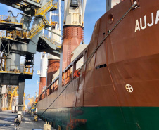 Porto de Paranaguá faz embarque inédito de fubá em sacas. Foto:Portos do Paraná