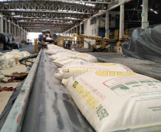Porto de Paranaguá faz embarque inédito de fubá em sacas. Foto:Portos do Paraná