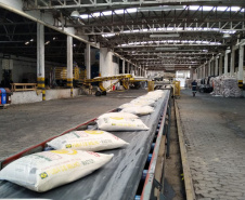 Porto de Paranaguá faz embarque inédito de fubá em sacas. Foto:Portos do Paraná