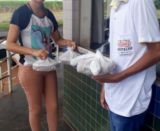 Servidores da Agência de Defesa Agropecuária do Paraná (Adapar) que atuam no Posto de Fiscalização do Trânsito Agropecuário de Santo Inácio, no Norte do Estado, começaram no sábado (28) uma mobilização para doar cestas básicas e lanches aos caminhoneiros. Foto: Adapar