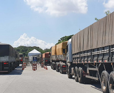 Porto de Paranaguá tem exportação recorde de grãos.  Foto:Nájia Furlan/Portos do Paraná 