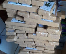 Segurança Pública tira 143,6 toneladas de drogas de circulação no Paraná em 2019. Foto:SESP