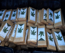 Segurança Pública tira 143,6 toneladas de drogas de circulação no Paraná em 2019. Foto:SESP