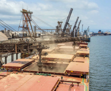 A pandemia de Covid-19 não interferiu no movimento dos de cargas que chegam ou são enviadas por mar. A Portos do Paraná esperam atracar, até o fim de abril, 115 navios. Dessas embarcações, 28 estão programadas ou já aguardam ao largo para carregar e descarregar produtos de todos os segmentos. As outras 87 foram anunciadas e devem chegar até dia 30.