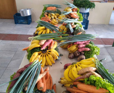 Governo divulga edital do Compra Direta de alimentos. Foto:SEAB