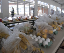 Escolas estaduais iniciam terceira entrega de kits merenda. Foto:SEED