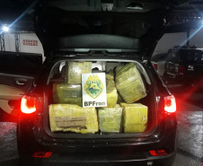 BPFron apreende 5,4 toneladas de maconha no 1.º quadrimestre. Foto:PMPR