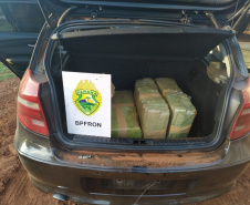 BPFron apreende 5,4 toneladas de maconha no 1.º quadrimestre. Foto:PMPR