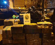 BPFron apreende 5,4 toneladas de maconha no 1.º quadrimestre. Foto:PMPR