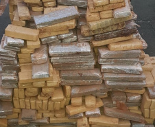PCPR apreende cerca de três toneladas de drogas em 15 dias. Foto: Polícia Civil
