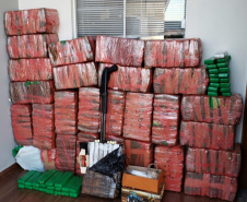 PCPR apreende cerca de três toneladas de drogas em 15 dias. Foto: Polícia Civil
