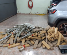 PCPR apreende cerca de três toneladas de drogas em 15 dias. Foto: Polícia Civil