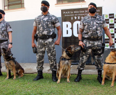 Lótus, Kira e Loba viveram uma grande história na Companhia de Operações com Cães (COC) do Batalhão de Operações Especiais (BOPE) ao longo de quase 9 anos de atividade