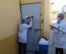 Além da suspensão de visitas, a desinfecção de ambientes compartilhados (como corredores, refeitórios, pátios e canteiros de trabalho dos detentos) está ocorrendo com maior periodicidade. A limpeza é feita diariamente com aspersão de água sanitária. Além disso, a vacinação contra a Influenza está em fase final na instituição.
Foto: DEPEN